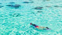 Key West Watersports Do-It-All Package Snorkel