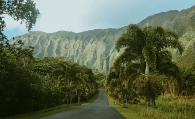 Complete Island Slingshot Tour, Oahu - 1 Day