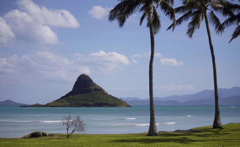 Sights and Shopping Slingshot Tour, Oahu - 8 Hours