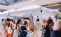 Sights and Shopping Slingshot Tour, Oahu - 8 Hours