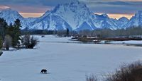 Jackson Hole Winter Wildlife Sunset Safari