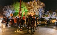 Bus Tour New York City, Dyker Heights Christmas Lights - 3.5 Hours