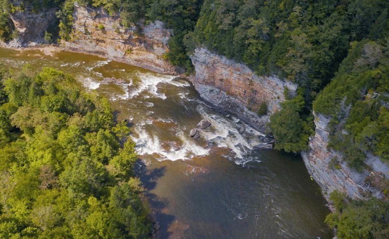 Whitewater Rafting Lower Gauley, Fall Season - Full Day