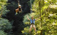 Zipline Tour West Virginia, New River Gorge - 3 Hours