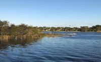 Fishing Tour in Lake Ida, Boca Raton - 4 Hours
