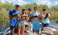 Fishing Tour in Everglades Holiday Park, Fort Lauderdale - 4 Hours