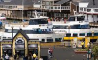 San Francisco Bay Cruise - 1 Hour