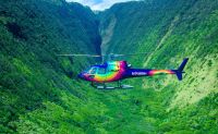 Helicopter Tour Big Island, Kohala Coast Volcanoes and Waterfalls - 90 Minutes