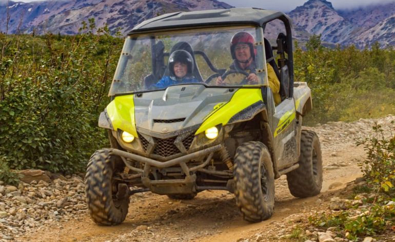 Two-Rider UTV Guided Tour Denali Wilderness - 90 Mins (Denali Shuttle Available!)