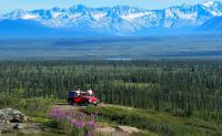 Jeep Tour Denali, Alaska - 4 Hours (You Get the Chance to Drive!)