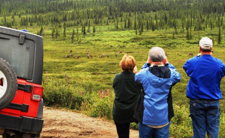 Jeep Tour Denali, Alaska - 4 Hours (You Get the Chance to Drive!)