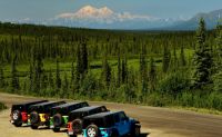 Jeep Tour Denali, Alaska - 4 Hours (You Get the Chance to Drive!)