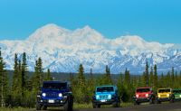 Jeep Tour Denali, Alaska - 4 Hours (You Get the Chance to Drive!)