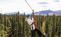 Zipline Tour, 7 Zip Adventure, Denali - 3 Hours
