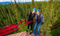 Zipline Tour, 7 Zip Adventure, Denali - 3 Hours