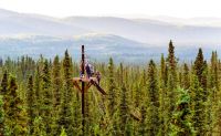 Zipline Tour, 7 Zip Adventure, Denali - 3 Hours