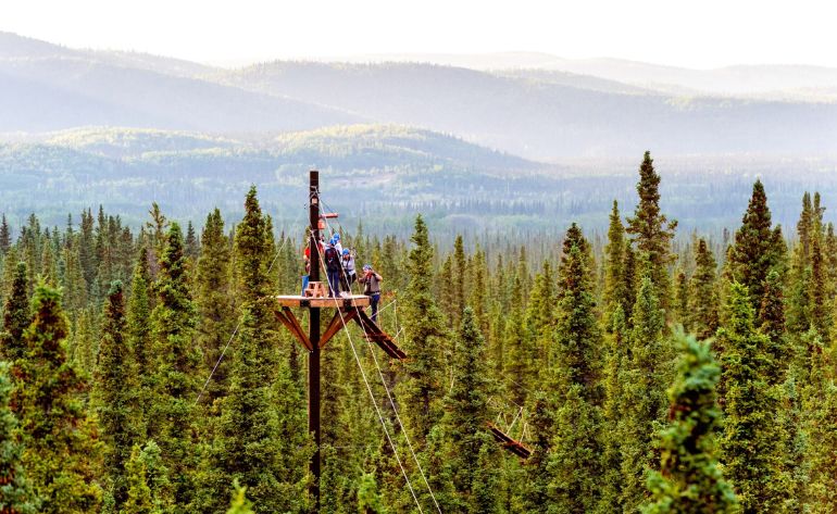 Zipline Tour, 7 Zip Adventure, Denali - 3 Hours