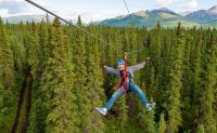 Zipline Tour, 7 Zip Adventure, Denali - 3 Hours
