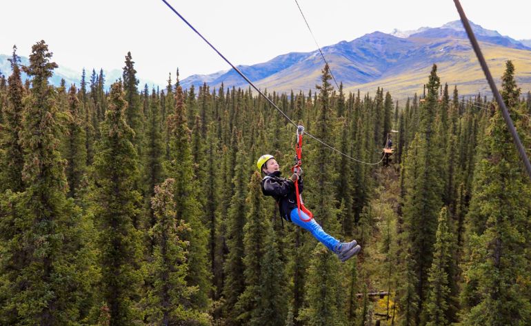 Zipline Tour, 7 Zip Adventure, Denali - 3 Hours