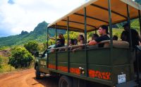 Oahu Movie Sites Tour, Kualoa Ranch - 90 Minutes