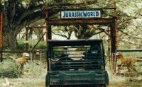 UTV Guided Tour Oahu, Kualoa Ranch - 2 Hours (Book Up to 4 People Per Vehicle!)