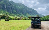 UTV Guided Tour Oahu, Kualoa Ranch - 2 Hours (Book Up to 4 People Per Vehicle!)