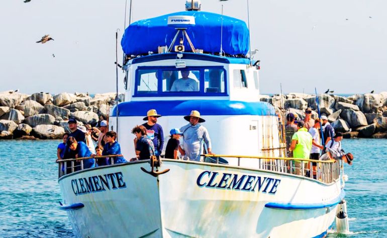 Whale & Dolphin Watching Tour, Dana Point - 2 Hours