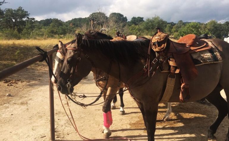 Private Horseback Riding San Antonio, Texas Hill Country - 2 Hours