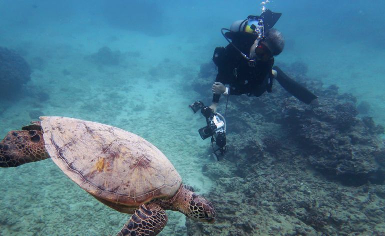 Shallow Reef Dives, Oahu - 4 Hours