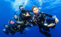 Shallow Reef Dives, Oahu - 4 Hours
