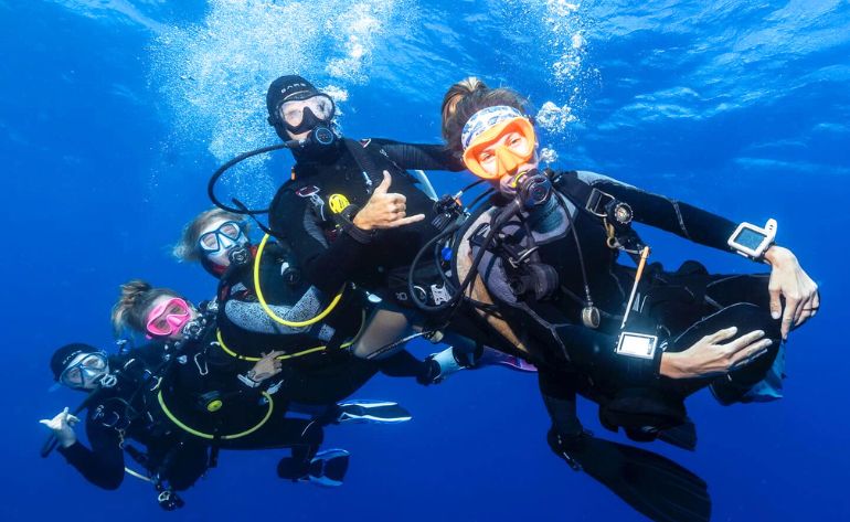 Shallow Reef Dives, Oahu - 4 Hours