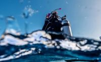Shallow Reef Dives, Oahu - 4 Hours