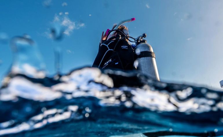 Shallow Reef Dives, Oahu - 4 Hours