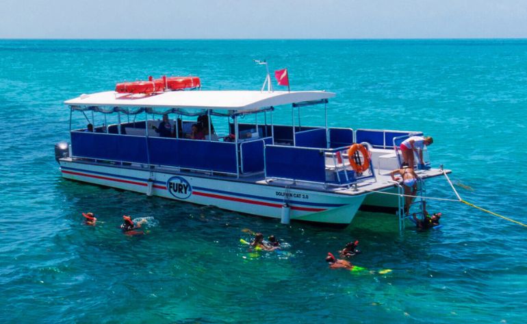 Dolphin Watch and Snorkel Tour, Key West - 3 Hours