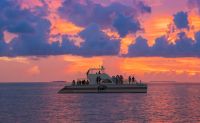 Two-Reef Snorkeling Adventure, Key West - 3 Hours