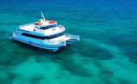 Glass Bottom Boat Eco Tour, Key West - 90 Minutes