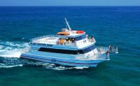 Glass Bottom Boat Eco Tour, Key West - 90 Minutes