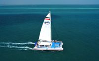 Morning Snorkel Adventure, Key West - 3 Hours