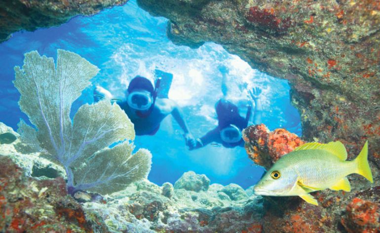 Morning Snorkel Adventure, Key West - 3 Hours