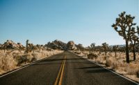 Grand Canyon, Hoover Dam, and Joshua Tree - Day Trip