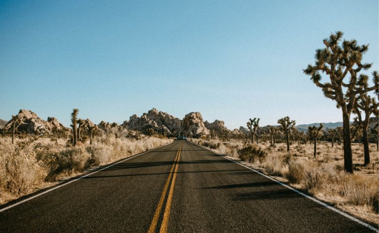 Grand Canyon, Hoover Dam, and Joshua Tree - Day Trip