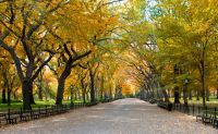 Central Park Bike Tour, NYC - 2 Hours