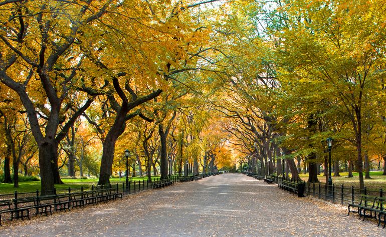 Central Park Bike Tour, NYC - 2 Hours