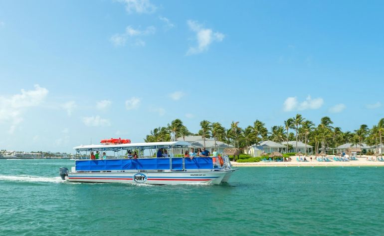 Dolphin Watch and Snorkel Tour, Key West - 3 Hours