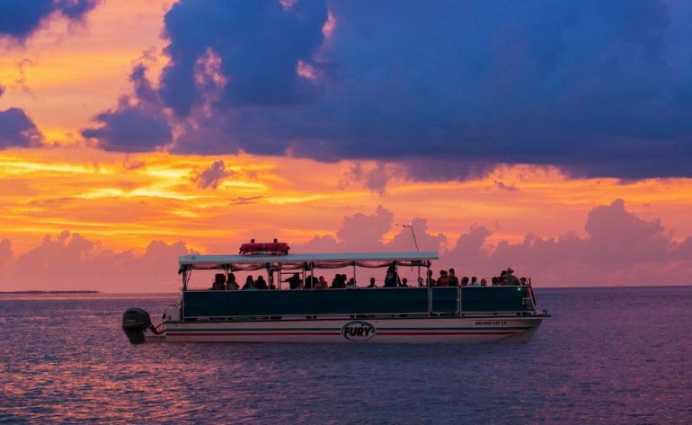 Dolphin Watch and Snorkel Tour, Key West - 3 Hours