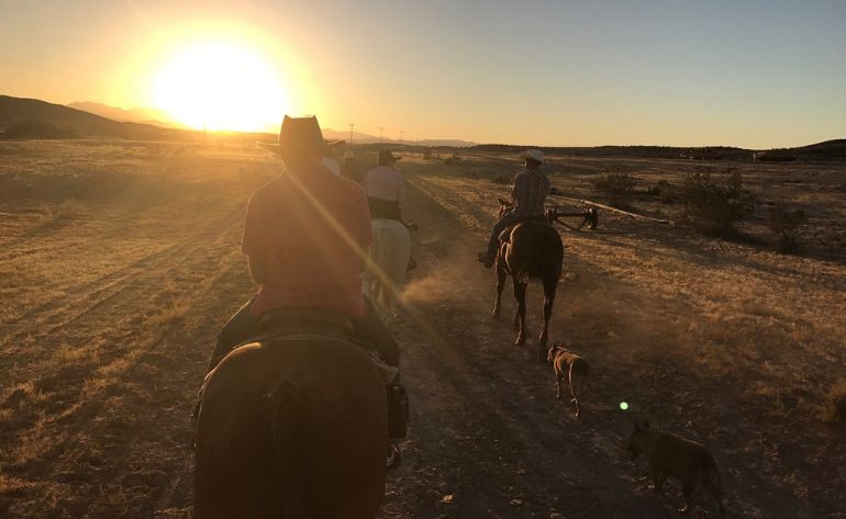 Sunset Horseback Riding, Las Vegas - 5 Hours