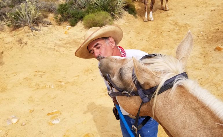 Sunset Horseback Riding, Las Vegas - 5 Hours