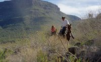 Private Horseback Riding, Phoenix - 2.5 Hours