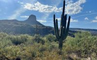 Private Horseback Riding, Phoenix - 2.5 Hours