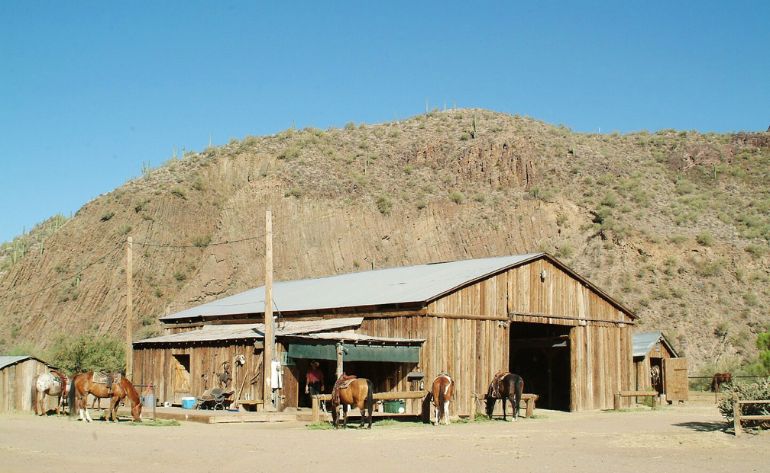Private Horseback Riding, Phoenix - 2.5 Hours